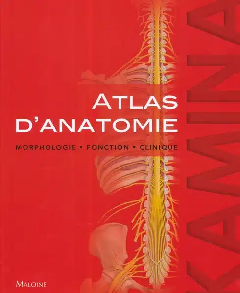 Atlas d'anatomie Morphologie - Fonction - Clinique